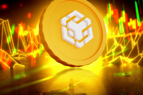 BNB Price Gains Backed by Large Investor Interest