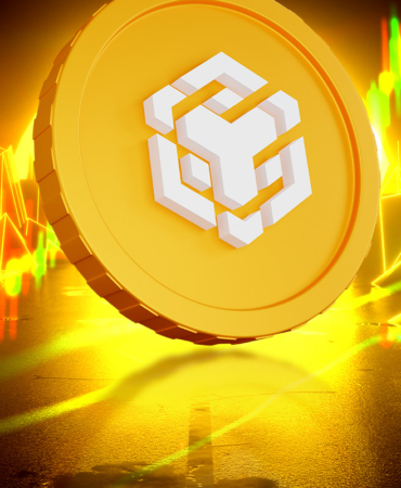 BNB Price Gains Backed by Large Investor Interest