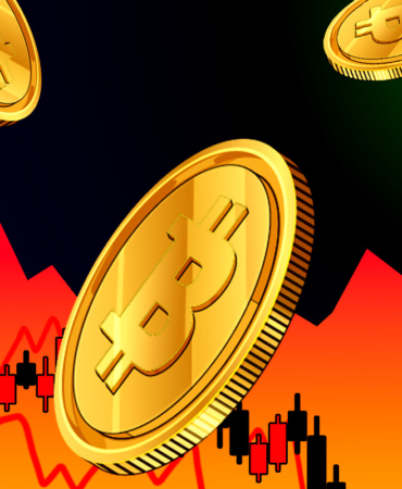 SHIB Price Awaits Breakout After Whale Transaction Surge