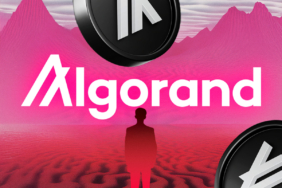 ALGO Shows Signs of Life Can It Maintain the Momentum