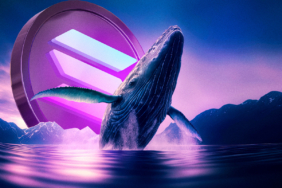 Solana Rally Rejected Are Whales Preparing for a Deeper Correction