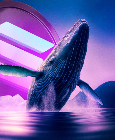 Solana Rally Rejected Are Whales Preparing for a Deeper Correction