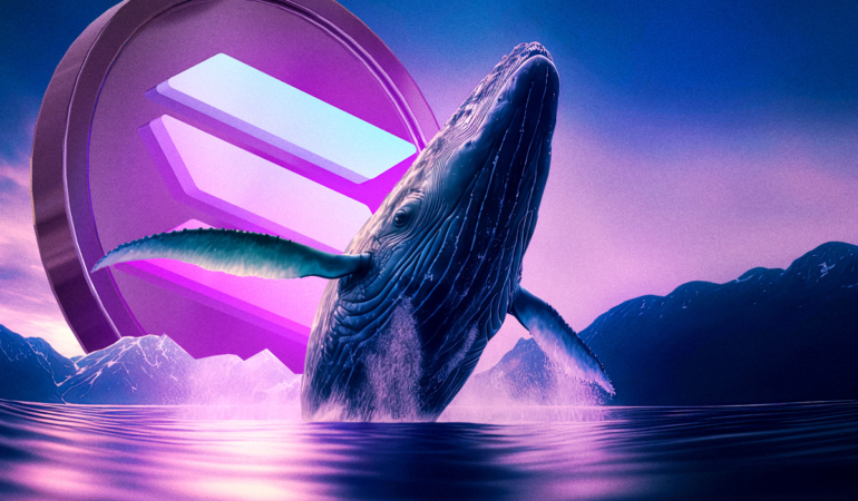 Solana Rally Rejected Are Whales Preparing for a Deeper Correction
