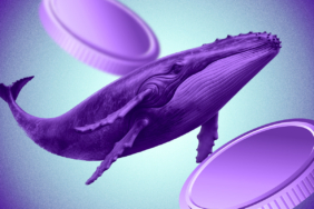 VINE Token Gains Momentum After Elon Musk Teases AI-Powered Vine Revival