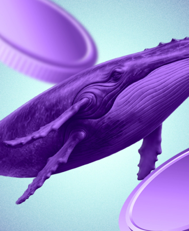 VINE Token Gains Momentum After Elon Musk Teases AI-Powered Vine Revival