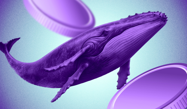 VINE Token Gains Momentum After Elon Musk Teases AI-Powered Vine Revival