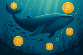 Whales Still Rule the Crypto Seas Santiment Report Reveals the Truth