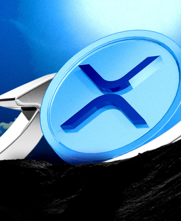 XRP Price Controversy Did It Really Break Records