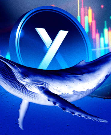 XRP Whales Accumulate More Than Ever Is It A Major Bull Signal