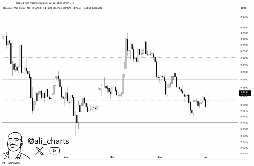 DOGE Price Rally: Can Bulls Push Past $0.19?