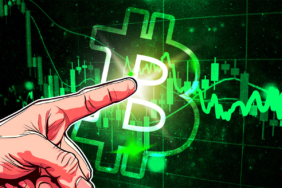 David Bailey Predicts Bitcoin Bull Market to Continue for Several Years