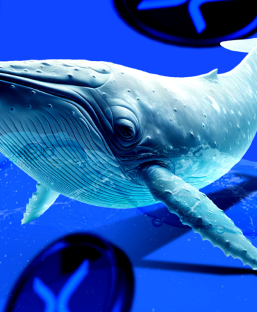 XRP Price Struggles Near $2.9 as Whales Sell $6 Billion—Will It Recover?