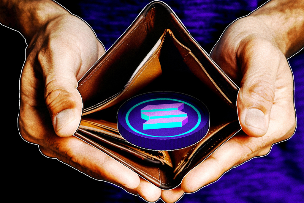 SOL Price Action: Key Support Zone Triggers Recovery Signals