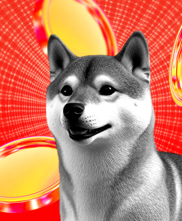Dogecoin Price: Will It Hold or Crash to $0.15?