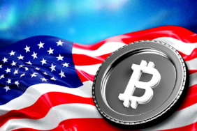 Bitcoin Ownership by Country: U.S. Controls 40% of Circulating Supply