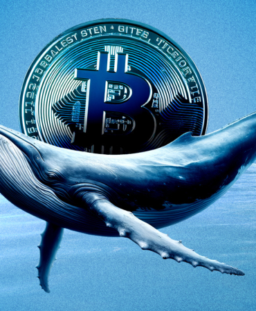 Dormant Bitcoin Whale Reactivates, Shifts Focus to Ethereum