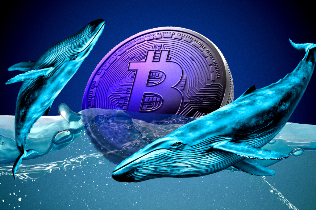 Bitcoin Eyes $115K Amid Mixed Market Signals