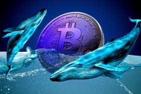 Bitcoin Eyes $115K Amid Mixed Market Signals