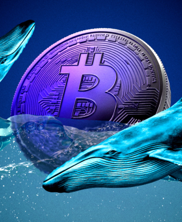 Bitcoin Eyes $115K Amid Mixed Market Signals