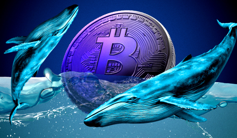 Bitcoin Eyes $115K Amid Mixed Market Signals