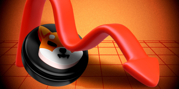 Shiba Inu (SHIB) Slides Amid Crypto Market Plunge