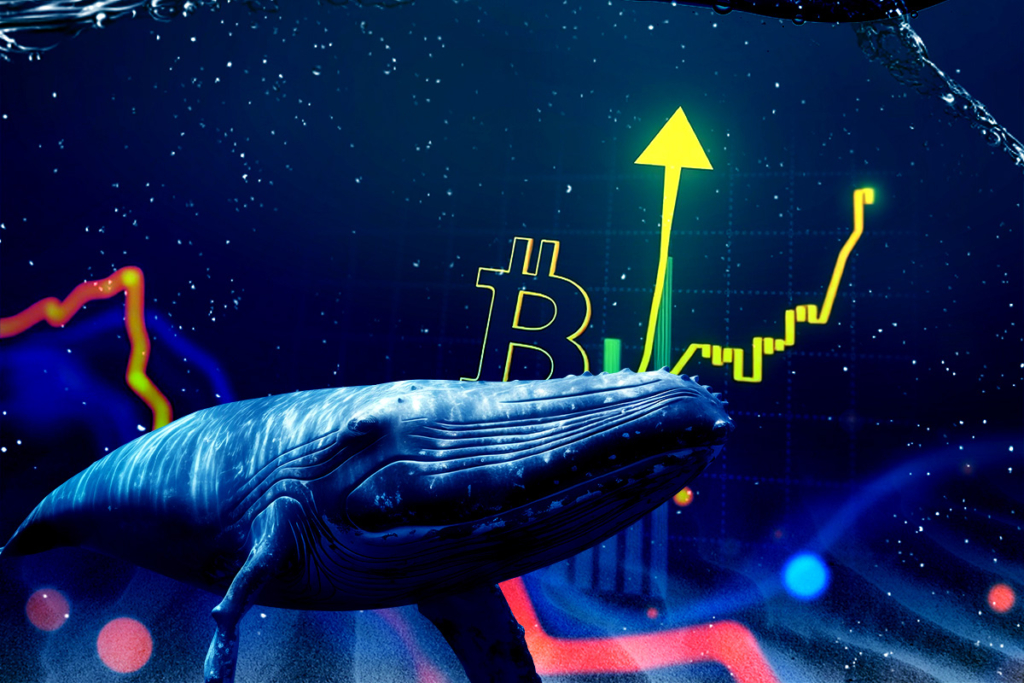 Bitcoin Price Dips, But Whales Are Buying Big—$176M Added in a Month