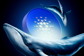 Cardano Price Surges as Whales Buy 100 Million ADA Tokens