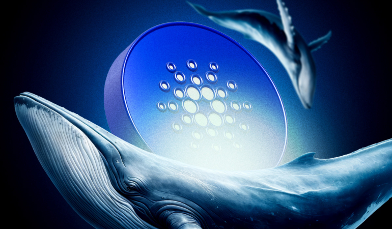 Cardano Price Surges as Whales Buy 100 Million ADA Tokens