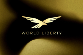 Big Money and Bigger Names WLFI Eyes Public Trading