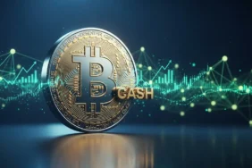 Bitcoin Cash (BCH)
