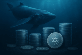 Crypto Whales Quietly Amass Cardano What Are They Preparing For