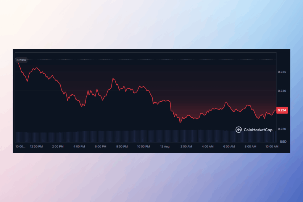 DOGE Price Under Pressure: Heavy Selloff Smashes Bullish Momentum