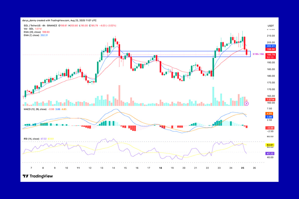 Solana Price Drop Signals Weakness: Is a Steeper Correction on the Horizon?