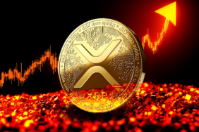 XRP Price Under Pressure Oversold Technicals Hint at Possible Reversal