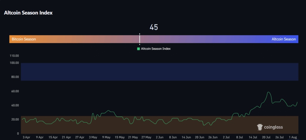 Altcoin Market Correction in August: Opportunity or Warning Sign?