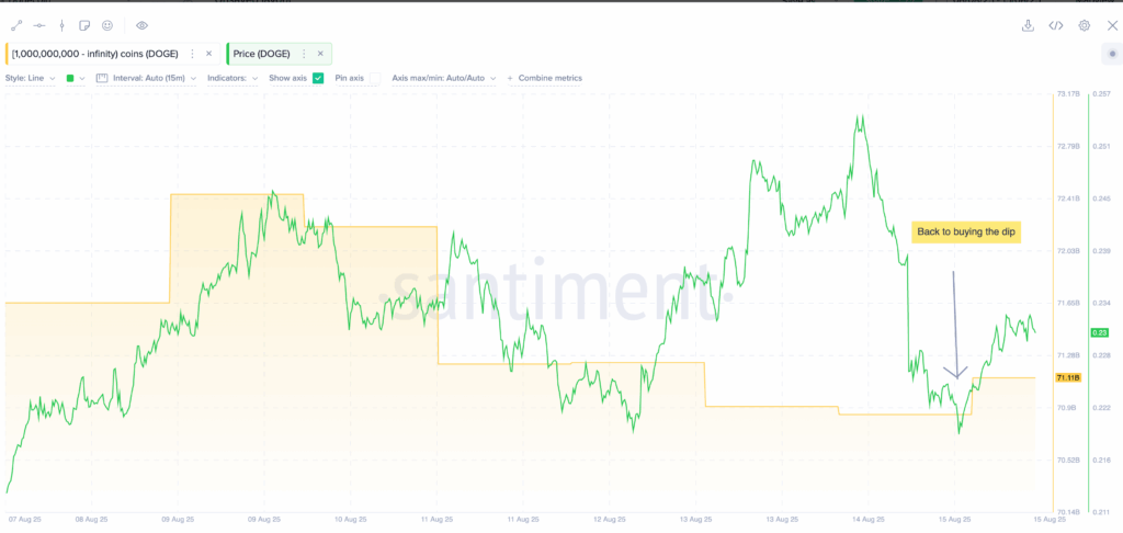 Dogecoin Whales Accumulate as Selling Pressure Eases