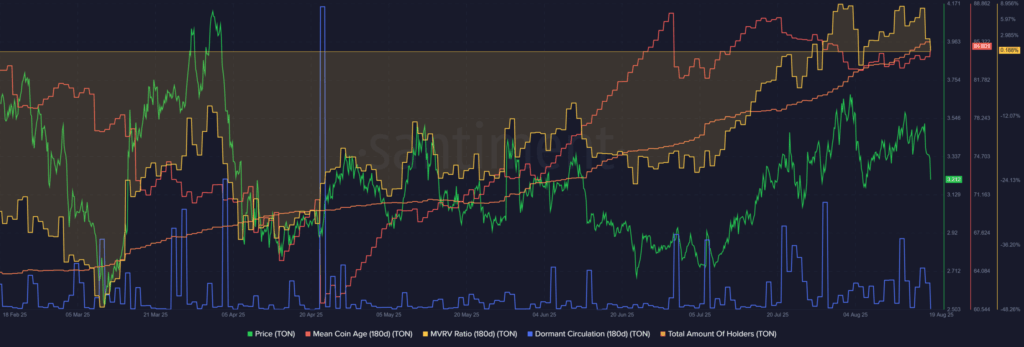 Where Is Toncoin [TON] Headed This Cycle?
