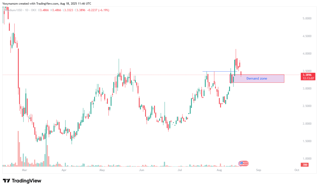 Raydium Dips 10% But Whale Accumulation Signals Potential Rebound