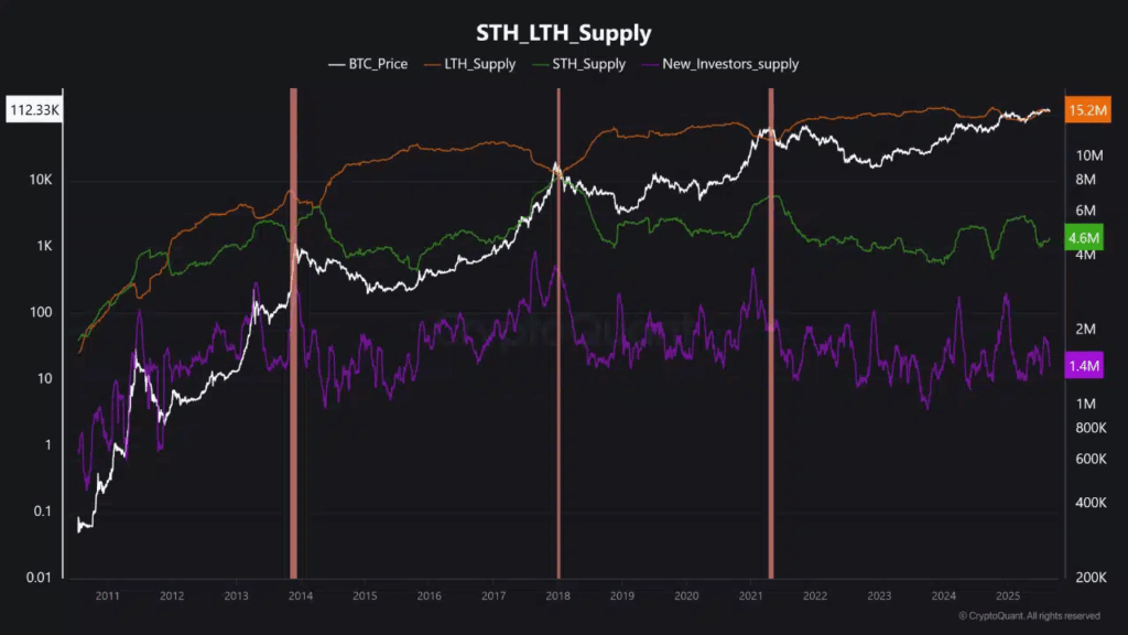 Bitcoin Finds Itself at a Crossroads After Sharp Pullback