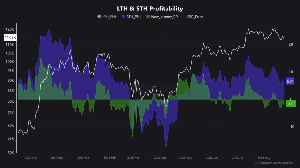 Bitcoin Finds Itself at a Crossroads After Sharp Pullback