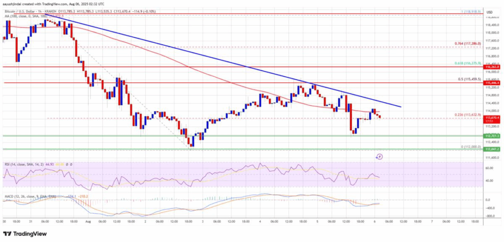 Bitcoin Price: Will $115,000 Become the Turning Point?