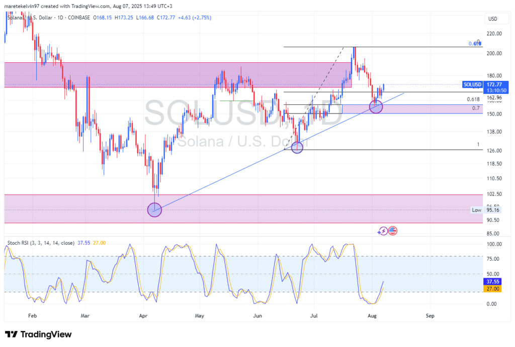 SOL Price Action: Key Support Zone Triggers Recovery Signals