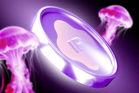 Story Protocol (IP) Holds Gains After All-Time High Rally