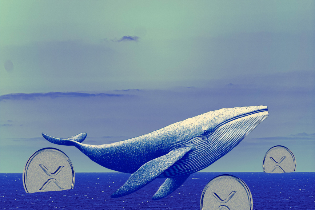 XRP Tests Resistance as Whale Inflows Stir Short-Term Uncertainty