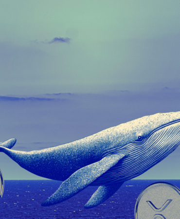 XRP Tests Resistance as Whale Inflows Stir Short-Term Uncertainty
