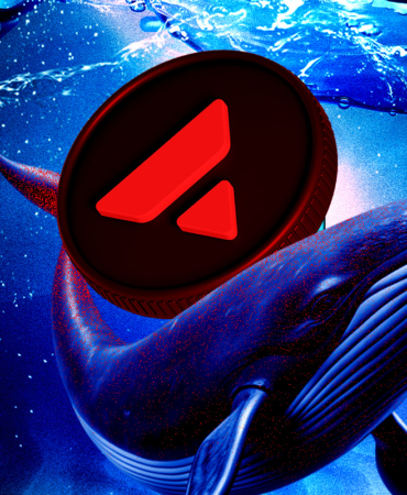 Avalanche (AVAX) Gains Attention as Whale Activity Increases