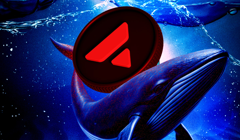 Avalanche (AVAX) Gains Attention as Whale Activity Increases