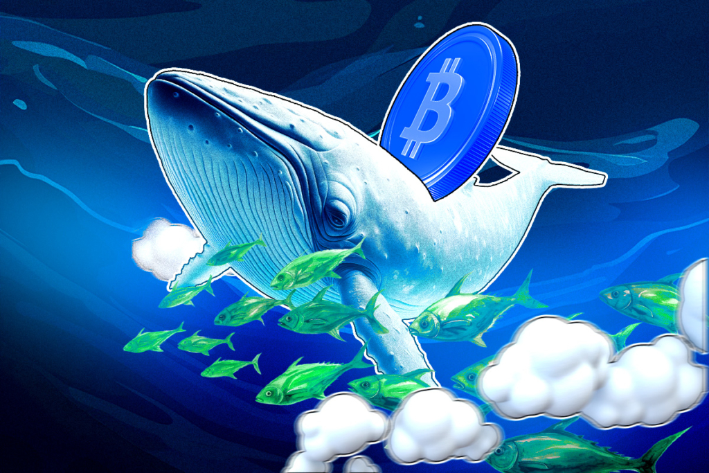 Bitcoin Struggles Near $112K Amid Declining Whale Activity