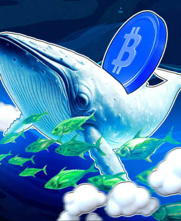 Bitcoin Struggles Near $112K Amid Declining Whale Activity