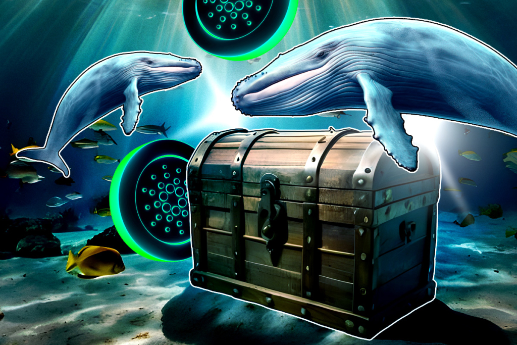 Whale Moves $54M in ADA Off Coinbase — Is Cardano Season Coming?